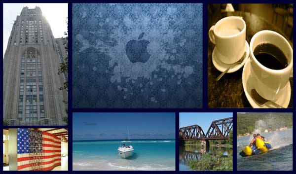 The Collage